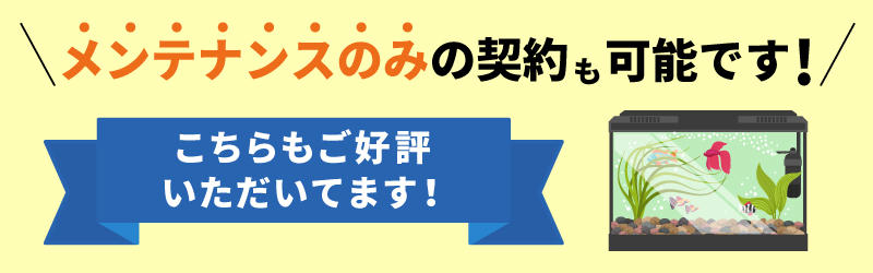 ファーストアクアリウムが手掛ける淡水水槽の 流木アートの作り方 ファーストアクアリウム株式会社 熊本 アクアリウム水槽の販売 メンテナンス