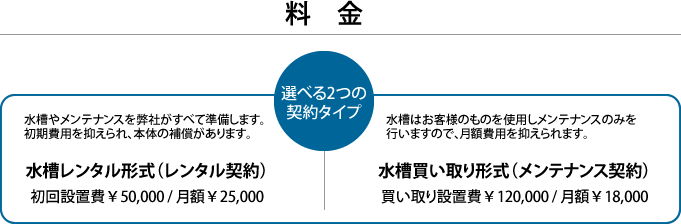kurage_r14_c2